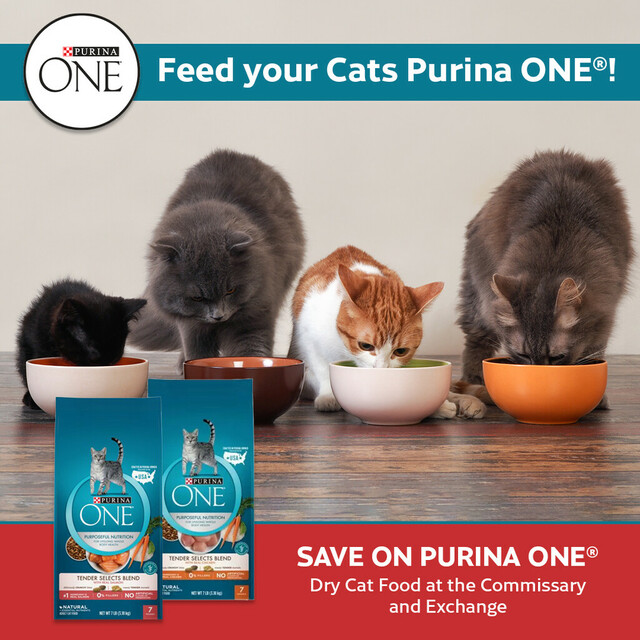 Feed your Cats Purina ONE®!