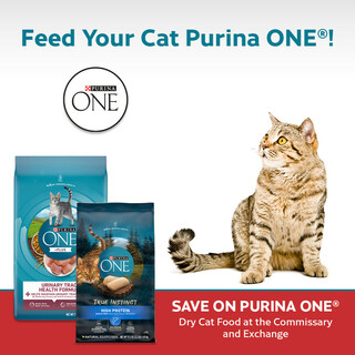Feed your Cat Purina One®!