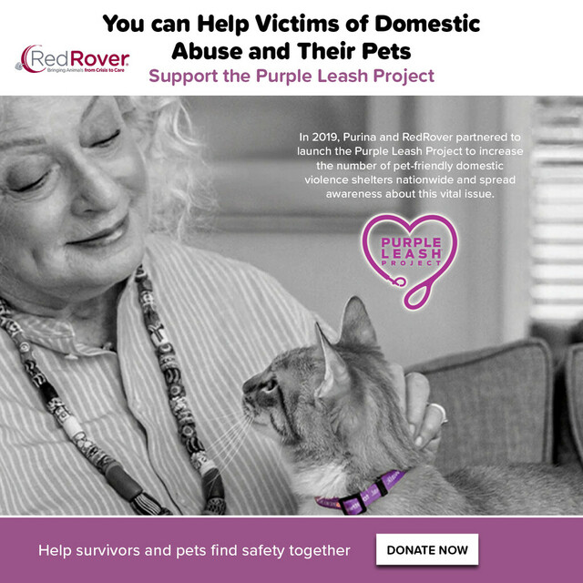 You can Help Victims of Domestic Abuse and Their Pets