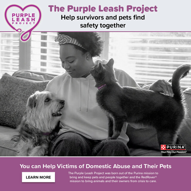 The Purple Leash Project