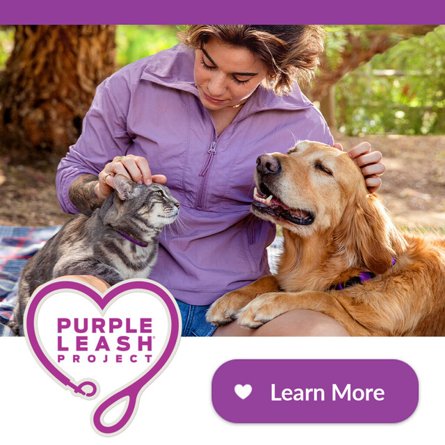 The Purple Leash Project