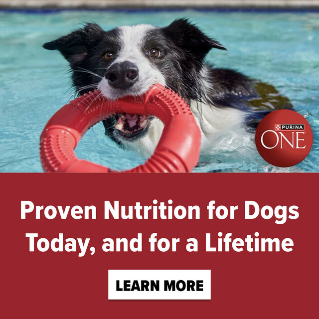 Proven Nutrition for Dogs Today, and for a Lifetime