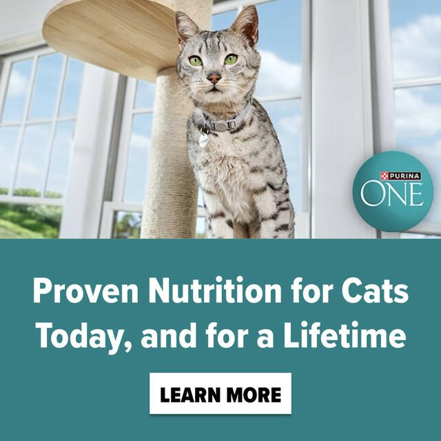 Proven Nutrition for Cats Today, and for a Lifetime